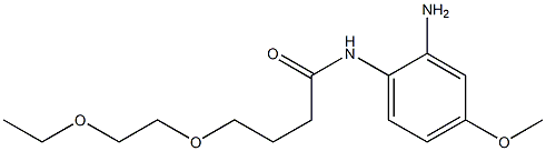 N-(2-amino-4-methoxyphenyl)-4-(2-ethoxyethoxy)butanamide Struktur