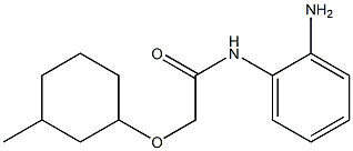 N-(2-aminophenyl)-2-[(3-methylcyclohexyl)oxy]acetamide Struktur