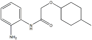 N-(2-aminophenyl)-2-[(4-methylcyclohexyl)oxy]acetamide Struktur