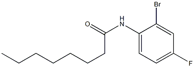 N-(2-bromo-4-fluorophenyl)octanamide Struktur