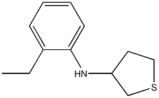 N-(2-ethylphenyl)thiolan-3-amine Struktur