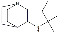 N-(2-methylbutan-2-yl)-1-azabicyclo[2.2.2]octan-3-amine Struktur