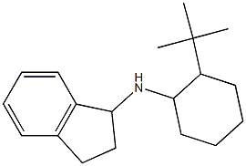 N-(2-tert-butylcyclohexyl)-2,3-dihydro-1H-inden-1-amine Struktur