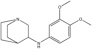 N-(3,4-dimethoxyphenyl)-1-azabicyclo[2.2.2]octan-3-amine Struktur