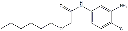 N-(3-amino-4-chlorophenyl)-2-(hexyloxy)acetamide Struktur