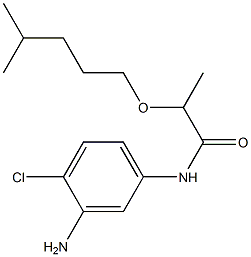 N-(3-amino-4-chlorophenyl)-2-[(4-methylpentyl)oxy]propanamide Struktur