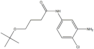 N-(3-amino-4-chlorophenyl)-4-(tert-butoxy)butanamide Struktur