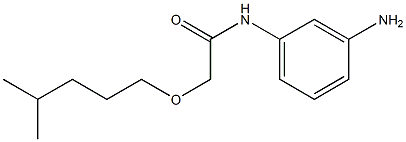 N-(3-aminophenyl)-2-[(4-methylpentyl)oxy]acetamide Struktur