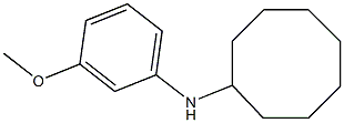 N-(3-methoxyphenyl)cyclooctanamine Struktur