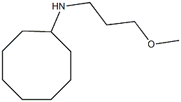 N-(3-methoxypropyl)cyclooctanamine Struktur