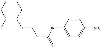 N-(4-aminophenyl)-3-[(2-methylcyclohexyl)oxy]propanamide Struktur