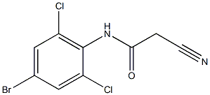 N-(4-bromo-2,6-dichlorophenyl)-2-cyanoacetamide Struktur