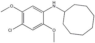 N-(4-chloro-2,5-dimethoxyphenyl)cyclooctanamine Struktur