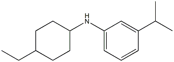 N-(4-ethylcyclohexyl)-3-(propan-2-yl)aniline Struktur