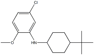 N-(4-tert-butylcyclohexyl)-5-chloro-2-methoxyaniline Struktur