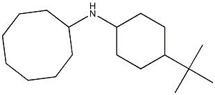 N-(4-tert-butylcyclohexyl)cyclooctanamine Struktur