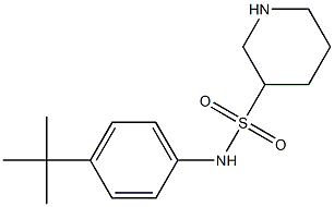 N-(4-tert-butylphenyl)piperidine-3-sulfonamide Struktur