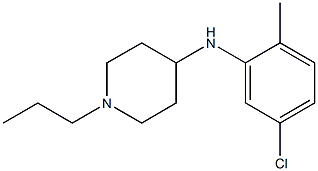 N-(5-chloro-2-methylphenyl)-1-propylpiperidin-4-amine Struktur