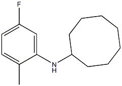 N-(5-fluoro-2-methylphenyl)cyclooctanamine Struktur