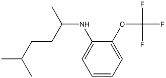 N-(5-methylhexan-2-yl)-2-(trifluoromethoxy)aniline Struktur