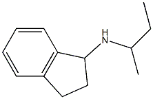 N-(butan-2-yl)-2,3-dihydro-1H-inden-1-amine Struktur