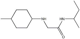 N-(butan-2-yl)-2-[(4-methylcyclohexyl)amino]acetamide Struktur