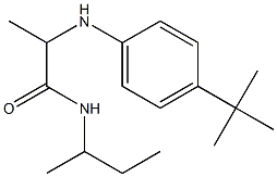 N-(butan-2-yl)-2-[(4-tert-butylphenyl)amino]propanamide Struktur