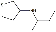 N-(butan-2-yl)thiolan-3-amine Struktur