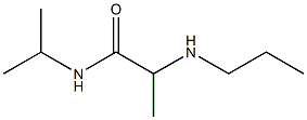 N-(propan-2-yl)-2-(propylamino)propanamide Struktur