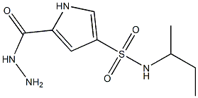 N-(sec-butyl)-5-(hydrazinocarbonyl)-1H-pyrrole-3-sulfonamide Struktur