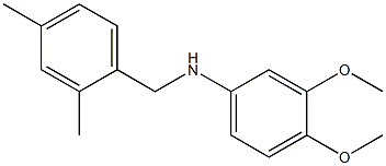 N-[(2,4-dimethylphenyl)methyl]-3,4-dimethoxyaniline Struktur