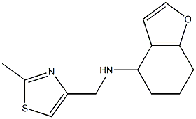 N-[(2-methyl-1,3-thiazol-4-yl)methyl]-4,5,6,7-tetrahydro-1-benzofuran-4-amine Struktur