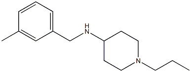 N-[(3-methylphenyl)methyl]-1-propylpiperidin-4-amine Struktur