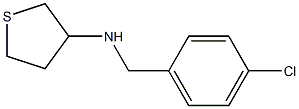 N-[(4-chlorophenyl)methyl]thiolan-3-amine Struktur