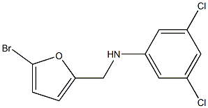 N-[(5-bromofuran-2-yl)methyl]-3,5-dichloroaniline Struktur