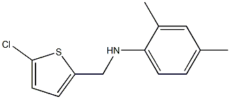 N-[(5-chlorothiophen-2-yl)methyl]-2,4-dimethylaniline Struktur