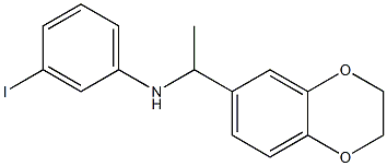 N-[1-(2,3-dihydro-1,4-benzodioxin-6-yl)ethyl]-3-iodoaniline Struktur