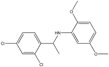 N-[1-(2,4-dichlorophenyl)ethyl]-2,5-dimethoxyaniline Struktur