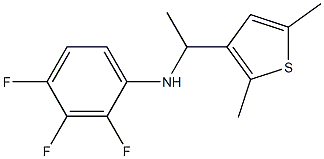 N-[1-(2,5-dimethylthiophen-3-yl)ethyl]-2,3,4-trifluoroaniline Struktur