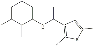 N-[1-(2,5-dimethylthiophen-3-yl)ethyl]-2,3-dimethylcyclohexan-1-amine Struktur