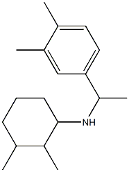 N-[1-(3,4-dimethylphenyl)ethyl]-2,3-dimethylcyclohexan-1-amine Struktur