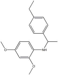 N-[1-(4-ethylphenyl)ethyl]-2,4-dimethoxyaniline Struktur