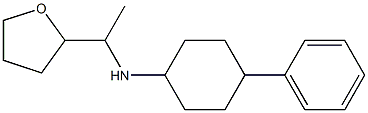 N-[1-(oxolan-2-yl)ethyl]-4-phenylcyclohexan-1-amine Struktur