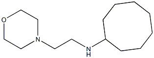 N-[2-(morpholin-4-yl)ethyl]cyclooctanamine Struktur