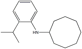 N-[2-(propan-2-yl)phenyl]cyclooctanamine Struktur