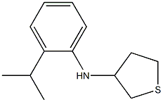 N-[2-(propan-2-yl)phenyl]thiolan-3-amine Struktur