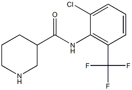 N-[2-chloro-6-(trifluoromethyl)phenyl]piperidine-3-carboxamide Struktur