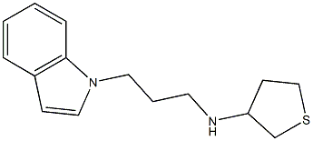 N-[3-(1H-indol-1-yl)propyl]thiolan-3-amine Struktur