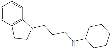 N-[3-(2,3-dihydro-1H-indol-1-yl)propyl]cyclohexanamine Struktur