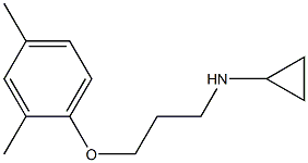 N-[3-(2,4-dimethylphenoxy)propyl]cyclopropanamine Struktur